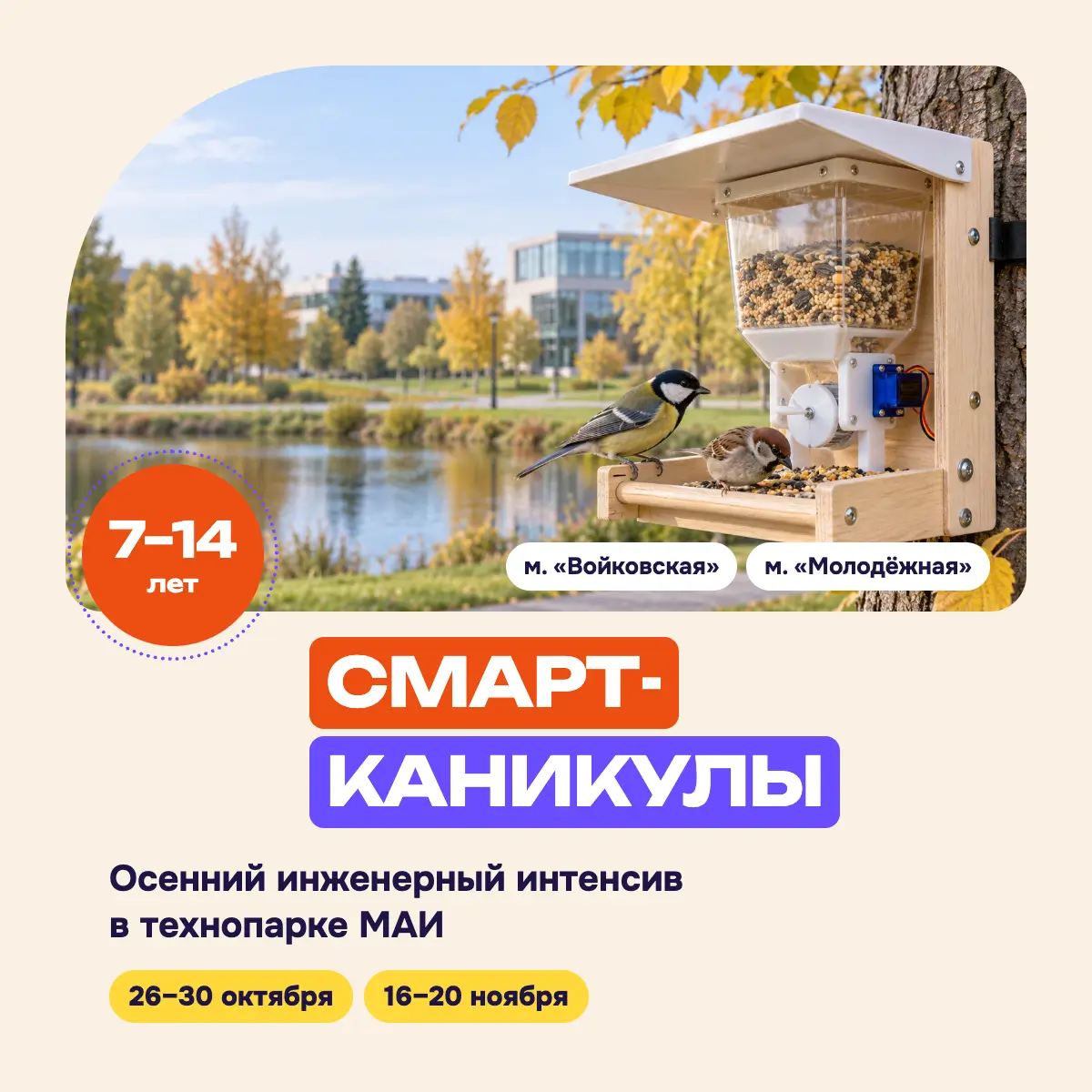 Каникулы осень 26